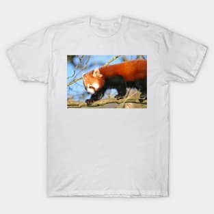 Red Panda T-Shirt